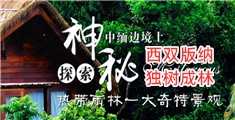 操骚B舒服毛片视频播放