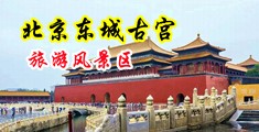 www操逼。cm中国北京-东城古宫旅游风景区